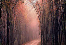 28圈官网:媒体人:津门虎主场移动CT方舱让大家开眼了 医疗车里都有信号.